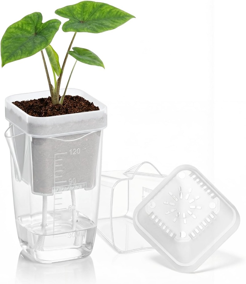 5/1PCS Transparent Self Wateri - đánh giá và giá Aloe Vera Pot