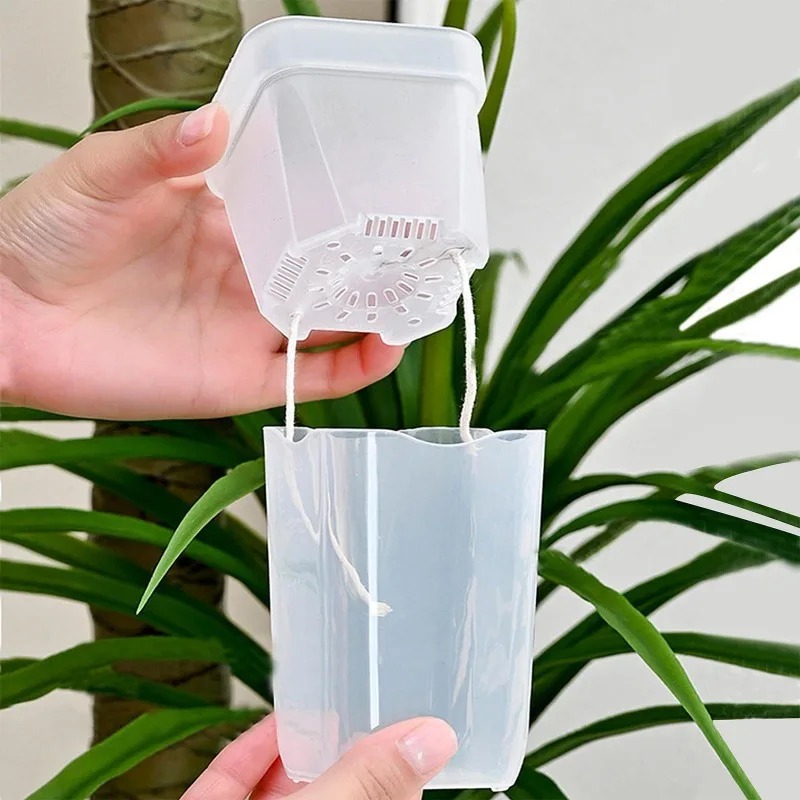5/1PCS Transparent Self Wateri - đánh giá và giá Aloe Vera Pot